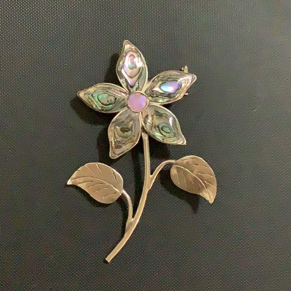 Vintage Silver Abalone Brooch